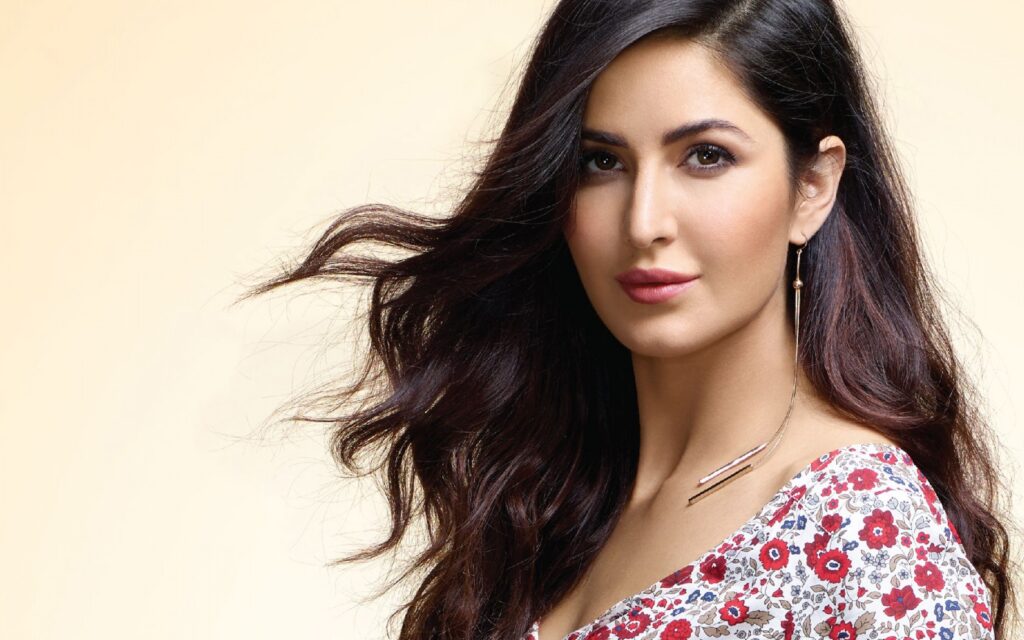 Unveiling the Artistry: Katrina Kaif's Stellar Journey Beyond 'Tiger 3'